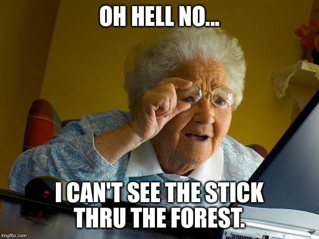 Grandma Finds The Internet | OH HELL NO... I CAN'T SEE THE STICK THRU THE FOREST. | image tagged in memes,grandma finds the internet | made w/ Imgflip meme maker
