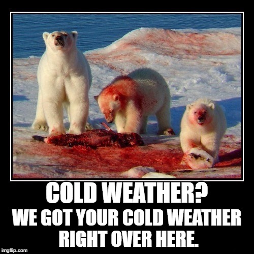 COLD WEATHER? WE GOT YOUR COLD WEATHER RIGHT OVER HERE. | made w/ Imgflip meme maker