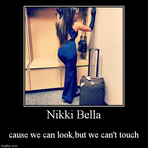 Nikki Bella | image tagged in funny,demotivationals,wwe,bella twins,hot | made w/ Imgflip demotivational maker
