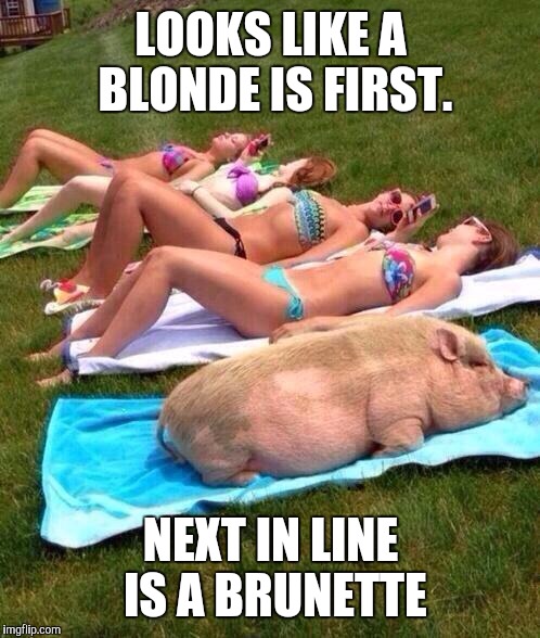 Memes, Blondes | LOOKS LIKE A BLONDE IS FIRST. NEXT IN LINE IS A BRUNETTE | image tagged in memes blondes | made w/ Imgflip meme maker