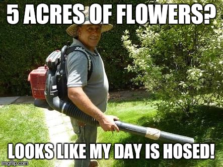 Gardener  | 5 ACRES OF FLOWERS? LOOKS LIKE MY DAY IS HOSED! | image tagged in gardener | made w/ Imgflip meme maker