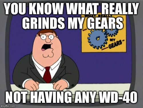 True Story  | YOU KNOW WHAT REALLY GRINDS MY GEARS; NOT HAVING ANY WD-40 | image tagged in memes,peter griffin news | made w/ Imgflip meme maker