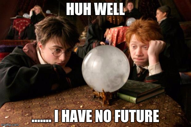 Harry Potter meme | HUH WELL; ....... I HAVE NO FUTURE | image tagged in harry potter meme | made w/ Imgflip meme maker