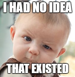 Skeptical Baby Meme | I HAD NO IDEA THAT EXISTED | image tagged in memes,skeptical baby | made w/ Imgflip meme maker