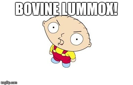 Stewie Family Guy | BOVINE LUMMOX! | image tagged in stewie family guy | made w/ Imgflip meme maker