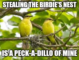 Birds | STEALING THE BIRDIE'S NEST; IS A PECK-A-DILLO OF MINE | image tagged in birds | made w/ Imgflip meme maker
