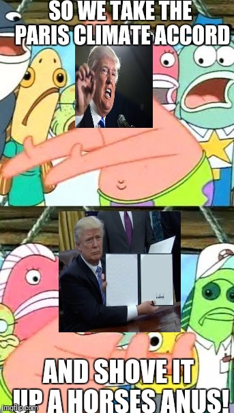 awesomeness | SO WE TAKE THE PARIS CLIMATE ACCORD; AND SHOVE IT UP A HORSES ANUS! | image tagged in memes,put it somewhere else patrick | made w/ Imgflip meme maker