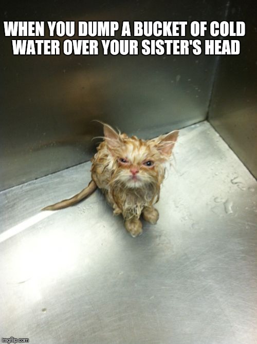 Kill You Cat Meme | WHEN YOU DUMP A BUCKET OF COLD WATER OVER YOUR SISTER'S HEAD | image tagged in memes,kill you cat | made w/ Imgflip meme maker