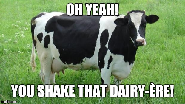 cow | OH YEAH! YOU SHAKE THAT DAIRY-ÈRE! | image tagged in cow | made w/ Imgflip meme maker
