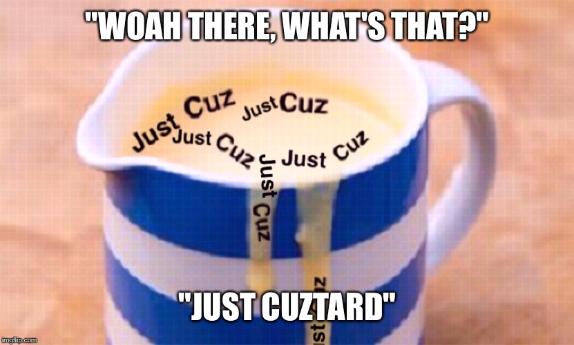 "WOAH THERE, WHAT'S THAT?"; "JUST CUZTARD" | image tagged in just cuztard | made w/ Imgflip meme maker