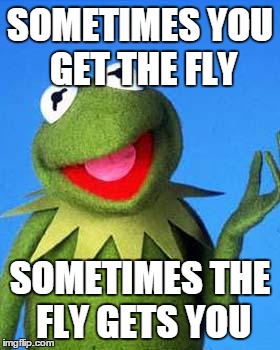 Kermit the Frog Meme | SOMETIMES YOU GET THE FLY; SOMETIMES THE FLY GETS YOU | image tagged in kermit the frog meme | made w/ Imgflip meme maker