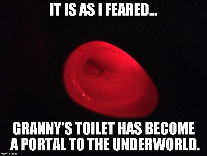 Evil toilet | IT IS AS I FEARED... GRANNY'S TOILET HAS BECOME A PORTAL TO THE UNDERWORLD. | image tagged in toilet,portal | made w/ Imgflip meme maker