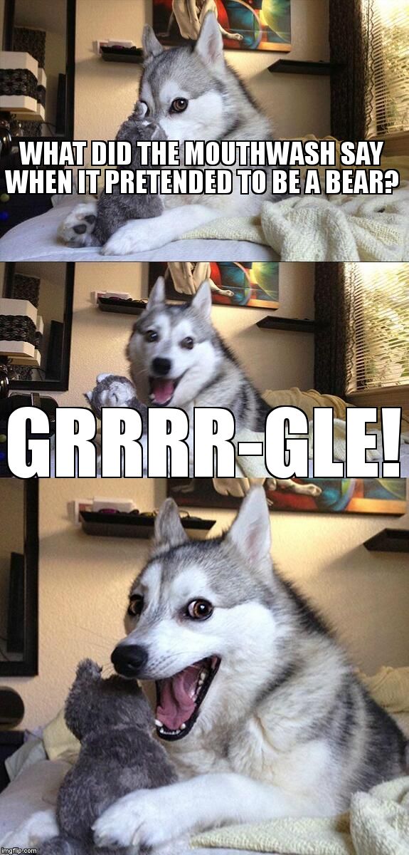 Bad Pun Dog | WHAT DID THE MOUTHWASH SAY WHEN IT PRETENDED TO BE A BEAR? GRRRR-GLE! | image tagged in memes,bad pun dog | made w/ Imgflip meme maker