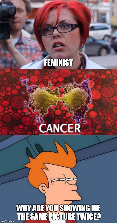 Can you spot the difference? | FEMINIST; WHY ARE YOU SHOWING ME THE SAME PICTURE TWICE? | image tagged in angry feminist,feminism is cancer | made w/ Imgflip meme maker