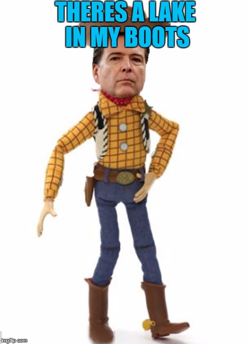 The Leaks Finally Take Their Toll | THERES A LAKE IN MY BOOTS | image tagged in james woody comey,gifs,memes,cats,spring chicken | made w/ Imgflip meme maker