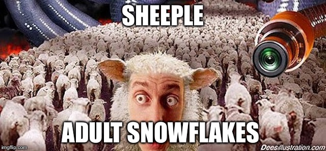 Sheeple | SHEEPLE; ADULT SNOWFLAKES | image tagged in sheeple | made w/ Imgflip meme maker