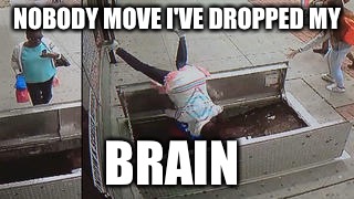 Losing ones mind | NOBODY MOVE I'VE DROPPED MY; BRAIN | image tagged in losing,fail of the day | made w/ Imgflip meme maker