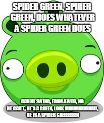 Angry Birds Pig | SPIDER GREEN, SPIDER GREEN, DOES WHATEVER A SPIDER GREEN DOES; CAN HE SWING, FROM A WEB, NO HE CAN'T, HE'S A GREEN, LOOK OUUUUUUUUUUUT, HE IS A SPIDER GREEEEEEEN | image tagged in memes,angry birds pig,spidergreen,spider green | made w/ Imgflip meme maker
