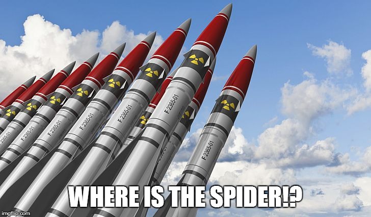 When you really have to kill a spider.... | WHERE IS THE SPIDER!? | image tagged in overkill | made w/ Imgflip meme maker
