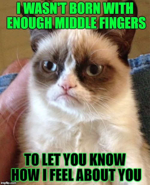 Grumpy Cat Meme | I WASN'T BORN WITH ENOUGH MIDDLE FINGERS; TO LET YOU KNOW HOW I FEEL ABOUT YOU | image tagged in memes,grumpy cat | made w/ Imgflip meme maker