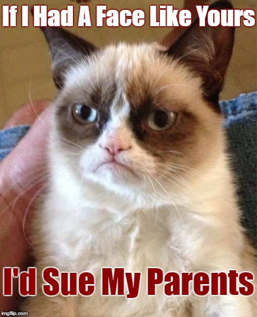 Grumpy Cat Meme | If I Had A Face Like Yours; I'd Sue My Parents | image tagged in memes,grumpy cat | made w/ Imgflip meme maker