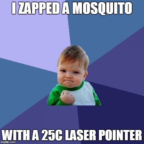 Success Kid Meme | I ZAPPED A MOSQUITO; WITH A 25C LASER POINTER | image tagged in memes,success kid | made w/ Imgflip meme maker