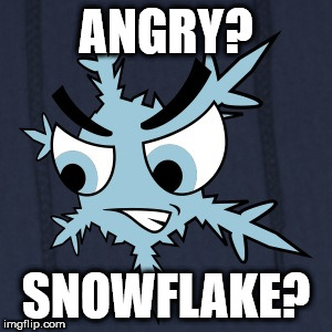 ANGRY? SNOWFLAKE? | image tagged in angry snowflake | made w/ Imgflip meme maker