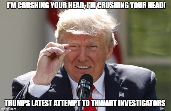 I'm Crushing Your Head | I'M CRUSHING YOUR HEAD, I'M CRUSHING YOUR HEAD! TRUMPS LATEST ATTEMPT TO THWART INVESTIGATORS | image tagged in donald trump,trump,kids in the hall | made w/ Imgflip meme maker