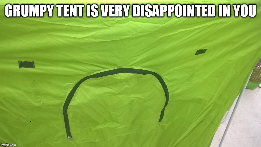  GRUMPY TENT IS VERY DISAPPOINTED IN YOU | image tagged in grumpy tent | made w/ Imgflip meme maker