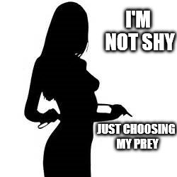 Choosing My Prey | I'M NOT SHY; JUST CHOOSING MY PREY | image tagged in bdsm | made w/ Imgflip meme maker