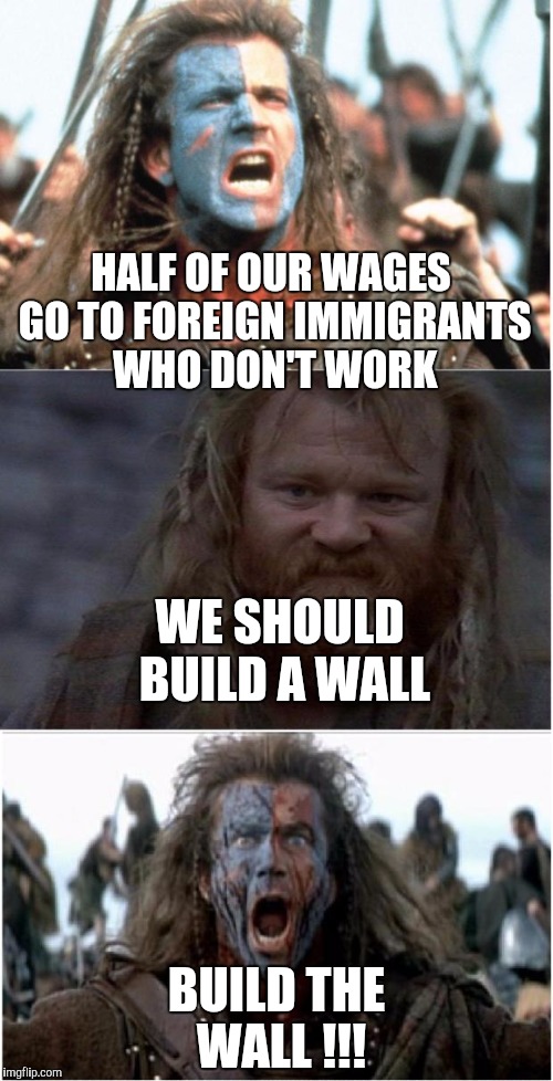 NotBraveHearth | HALF OF OUR WAGES GO TO FOREIGN IMMIGRANTS WHO DON'T WORK; WE SHOULD BUILD A WALL; BUILD THE WALL !!! | image tagged in notbravehearth | made w/ Imgflip meme maker
