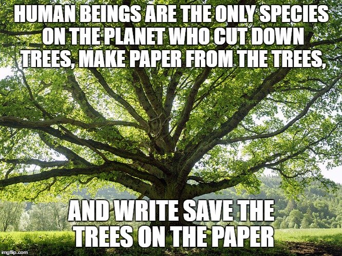 HUMAN BEINGS ARE THE ONLY SPECIES ON THE PLANET WHO CUT DOWN TREES, MAKE PAPER FROM THE TREES, AND WRITE SAVE THE TREES ON THE PAPER | image tagged in tree | made w/ Imgflip meme maker