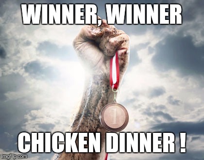 Success | WINNER, WINNER CHICKEN DINNER ! | image tagged in success | made w/ Imgflip meme maker