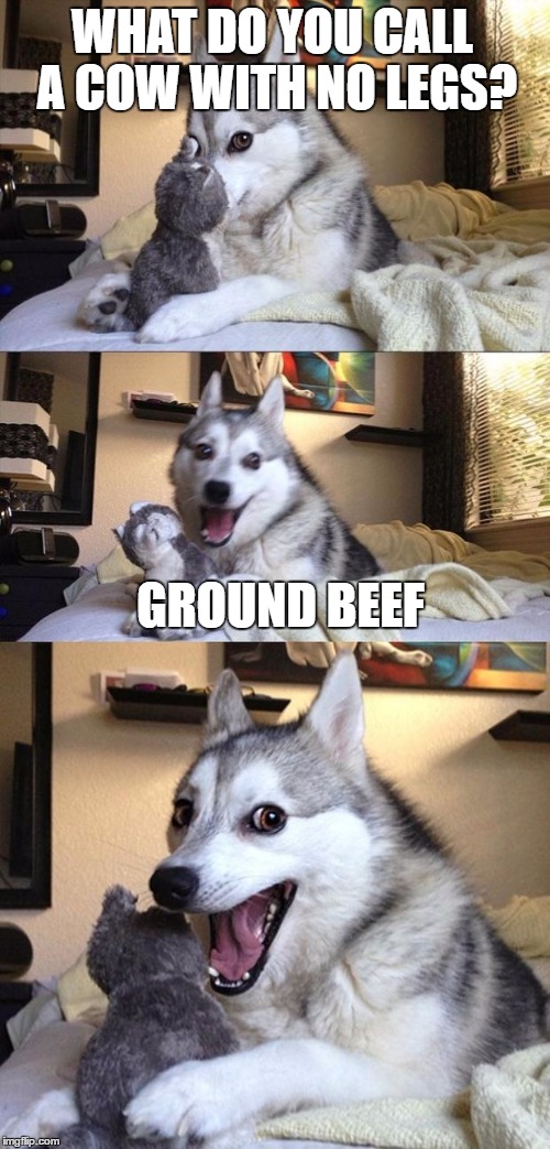 Bad Joke Dog | WHAT DO YOU CALL A COW WITH NO LEGS? GROUND BEEF | image tagged in bad joke dog | made w/ Imgflip meme maker