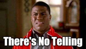 Memes, disgusted | There's No Telling | image tagged in memes disgusted | made w/ Imgflip meme maker