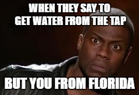 Life Of A Floridian | WHEN THEY SAY TO GET WATER FROM THE TAP; BUT YOU FROM FLORIDA | image tagged in memes,kevin hart the hell | made w/ Imgflip meme maker