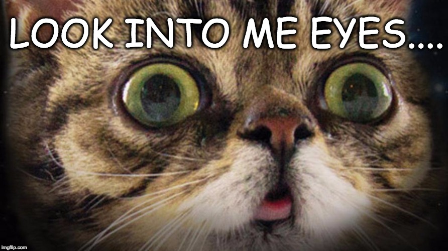 LOOK INTO EYES Imgflip