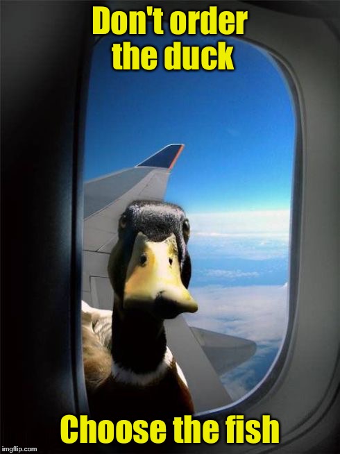 Let Me In Duck | Don't order the duck; Choose the fish | image tagged in let me in duck | made w/ Imgflip meme maker