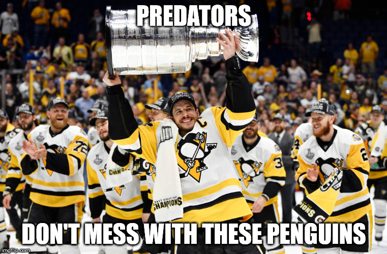 Pittsburgh Penguins |  PREDATORS; DON'T MESS WITH THESE PENGUINS | image tagged in penguin,pittsburgh penguins,pittsburgh | made w/ Imgflip meme maker