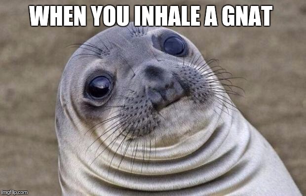 Right now I have a gnat stuck in my sinuses...ugh  | WHEN YOU INHALE A GNAT | image tagged in memes,awkward moment sealion,jbmemegeek,gnats | made w/ Imgflip meme maker