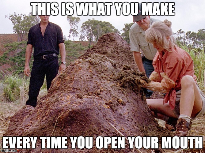 Best Insult 2017 | THIS IS WHAT YOU MAKE; EVERY TIME YOU OPEN YOUR MOUTH | image tagged in jurassic park shit | made w/ Imgflip meme maker