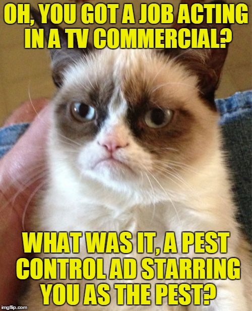 Grumpy Cat | OH, YOU GOT A JOB ACTING IN A TV COMMERCIAL? WHAT WAS IT, A PEST CONTROL AD STARRING YOU AS THE PEST? | image tagged in memes,grumpy cat | made w/ Imgflip meme maker