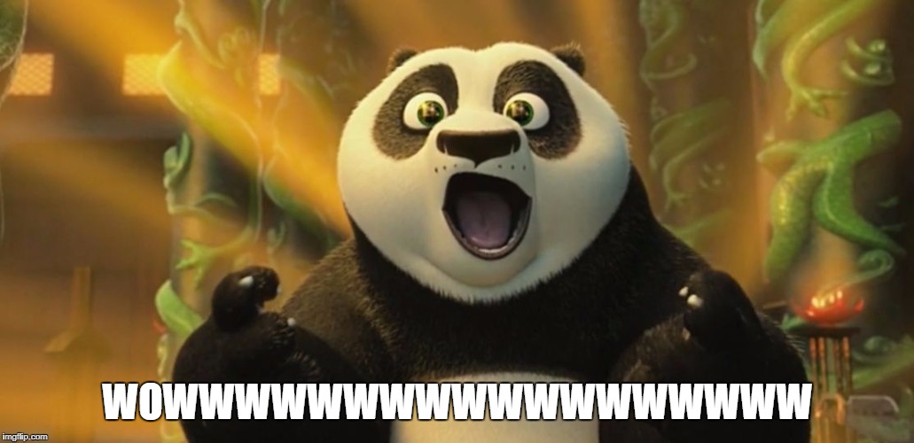 WOWWWWWWWWWWWWWWWWWW | image tagged in kung fu panda | made w/ Imgflip meme maker