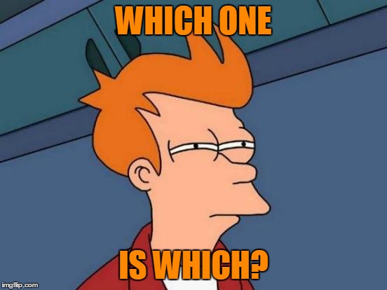 Futurama Fry Meme | WHICH ONE IS WHICH? | image tagged in memes,futurama fry | made w/ Imgflip meme maker