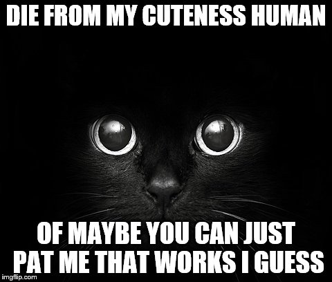 DIE FROM MY CUTENESS HUMAN; OF MAYBE YOU CAN JUST PAT ME THAT WORKS I GUESS | made w/ Imgflip meme maker