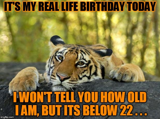 Hooray, whoop whoop and all that. | IT'S MY REAL LIFE BIRTHDAY TODAY; I WON'T TELL YOU HOW OLD I AM, BUT ITS BELOW 22 . . . | image tagged in confession tiger,birthday,hooray indeed | made w/ Imgflip meme maker