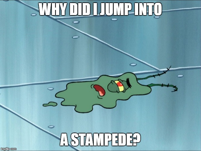 Run Over Plankton | WHY DID I JUMP INTO; A STAMPEDE? | image tagged in run over plankton | made w/ Imgflip meme maker