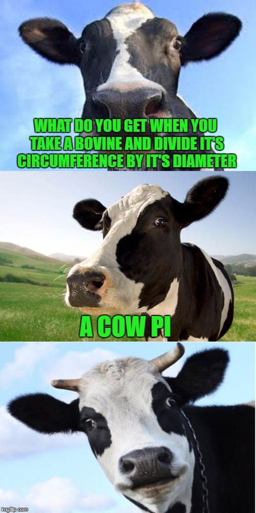 Do you want a slice?  As told to me by my 7 year old 3rd cousin... | WHAT DO YOU GET WHEN YOU TAKE A BOVINE AND DIVIDE IT'S CIRCUMFERENCE BY IT'S DIAMETER; A COW PI | image tagged in bad pun cow,memes,cows,funny,animals,math pun | made w/ Imgflip meme maker