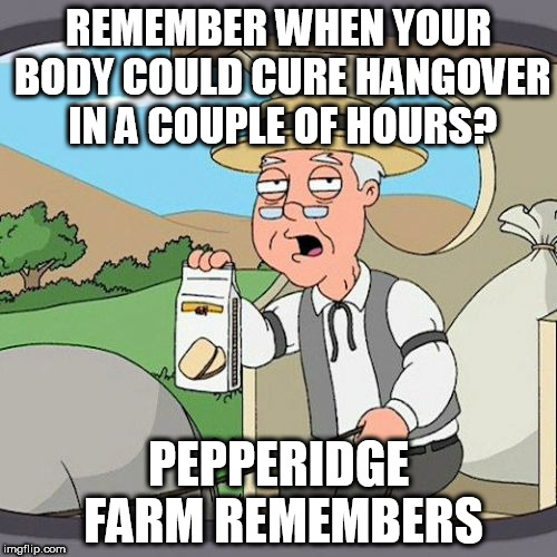 Pepperidge Farm Remembers Meme | REMEMBER WHEN YOUR BODY COULD CURE HANGOVER IN A COUPLE OF HOURS? PEPPERIDGE FARM REMEMBERS | image tagged in memes,pepperidge farm remembers | made w/ Imgflip meme maker
