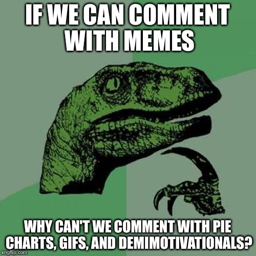 Philosoraptor Meme | IF WE CAN COMMENT WITH MEMES; WHY CAN'T WE COMMENT WITH PIE CHARTS, GIFS, AND DEMIMOTIVATIONALS? | image tagged in memes,philosoraptor | made w/ Imgflip meme maker